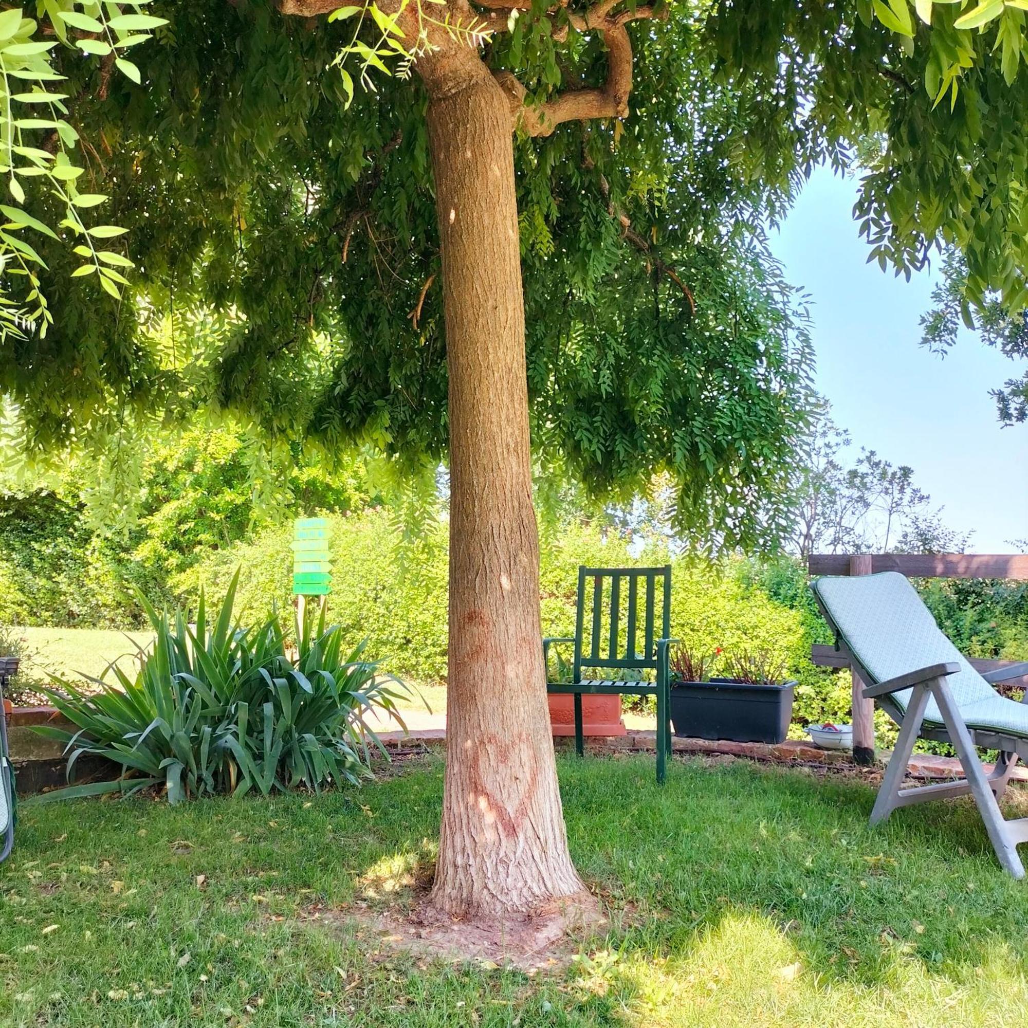 Ca' Dei Gelsi B & B Coriano Kültér fotó