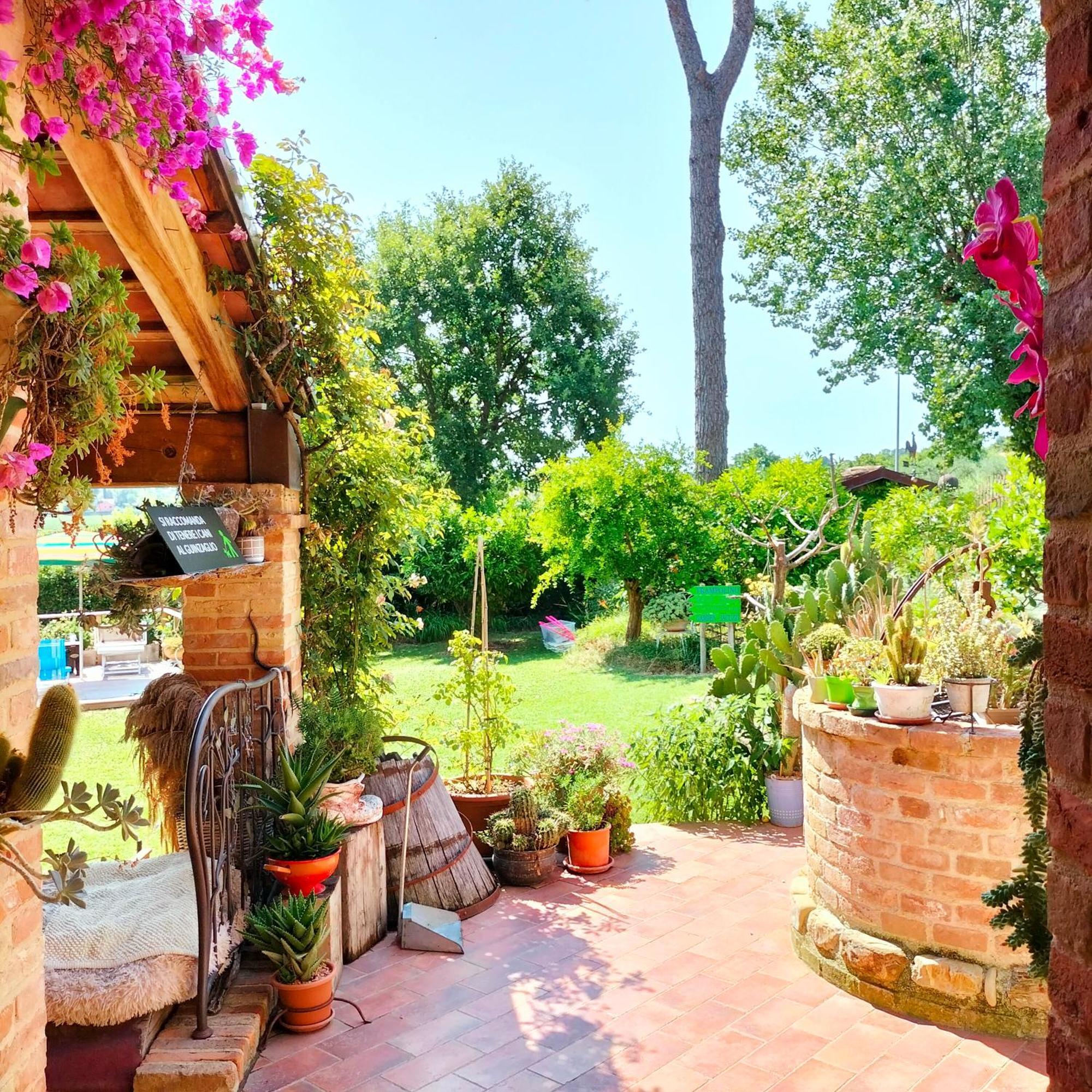 Ca' Dei Gelsi B & B Coriano Kültér fotó
